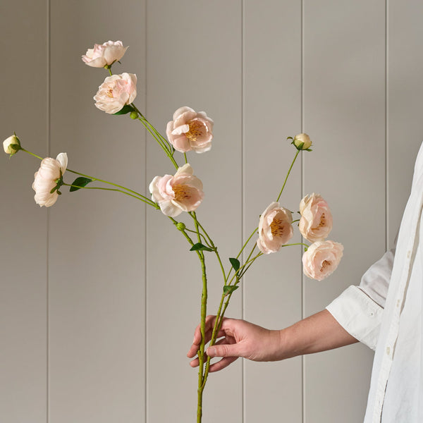 Neptune Flowers & Plants Peony Spray, Pink