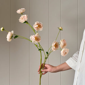 Neptune Flowers & Plants Peony Spray, Pink