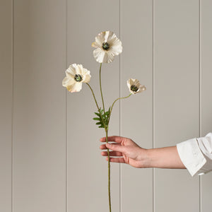 Neptune Flowers & Plants Poppy Spray, Soft Pink
