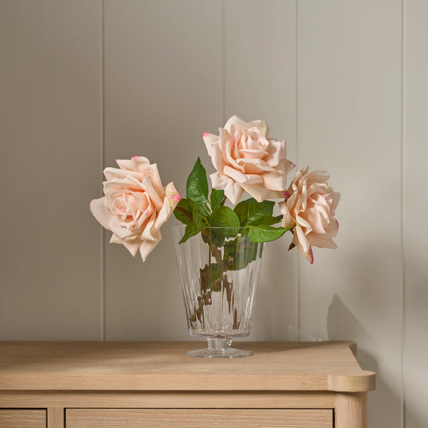 Neptune Flowers & Plants Rose Stem, Pink