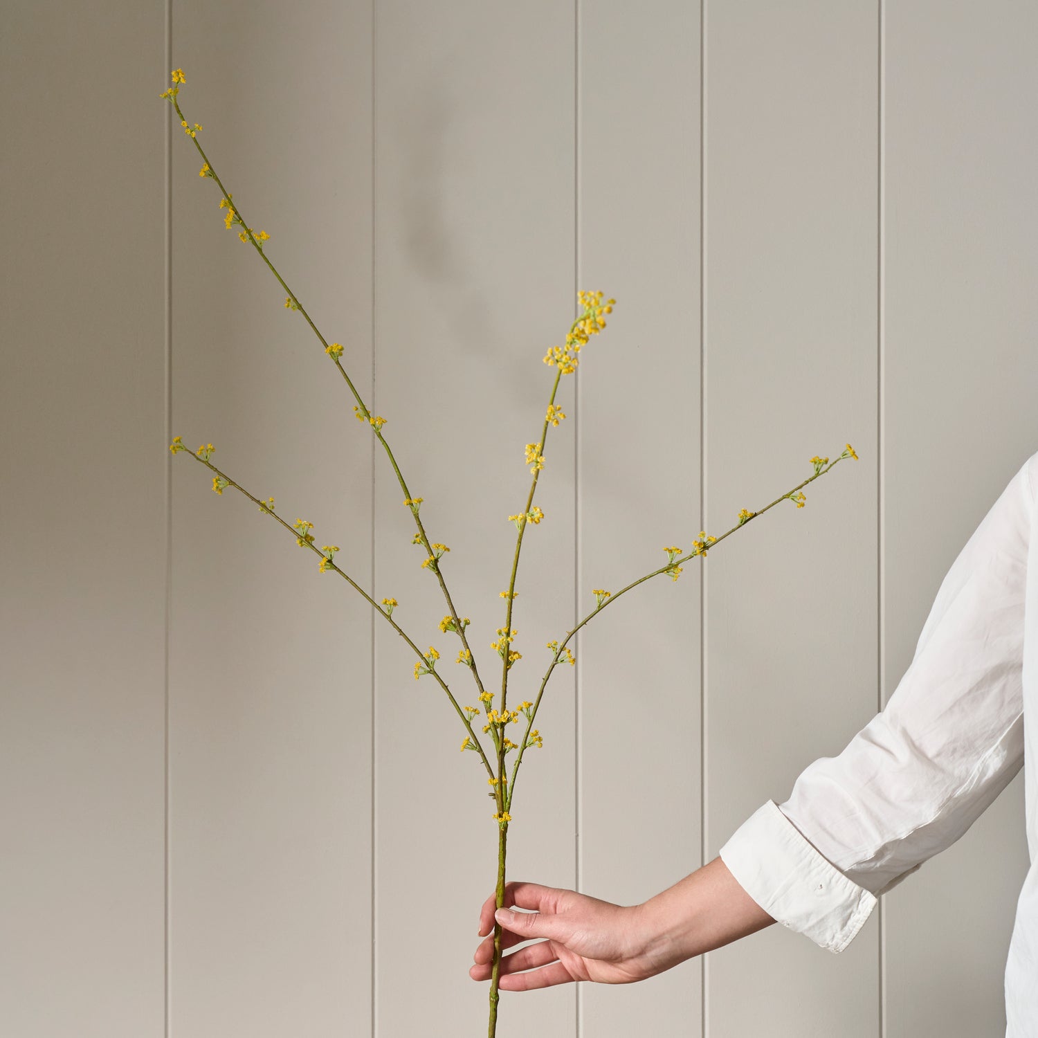 Neptune Flowers & Plants Spirarea Spray, Yellow