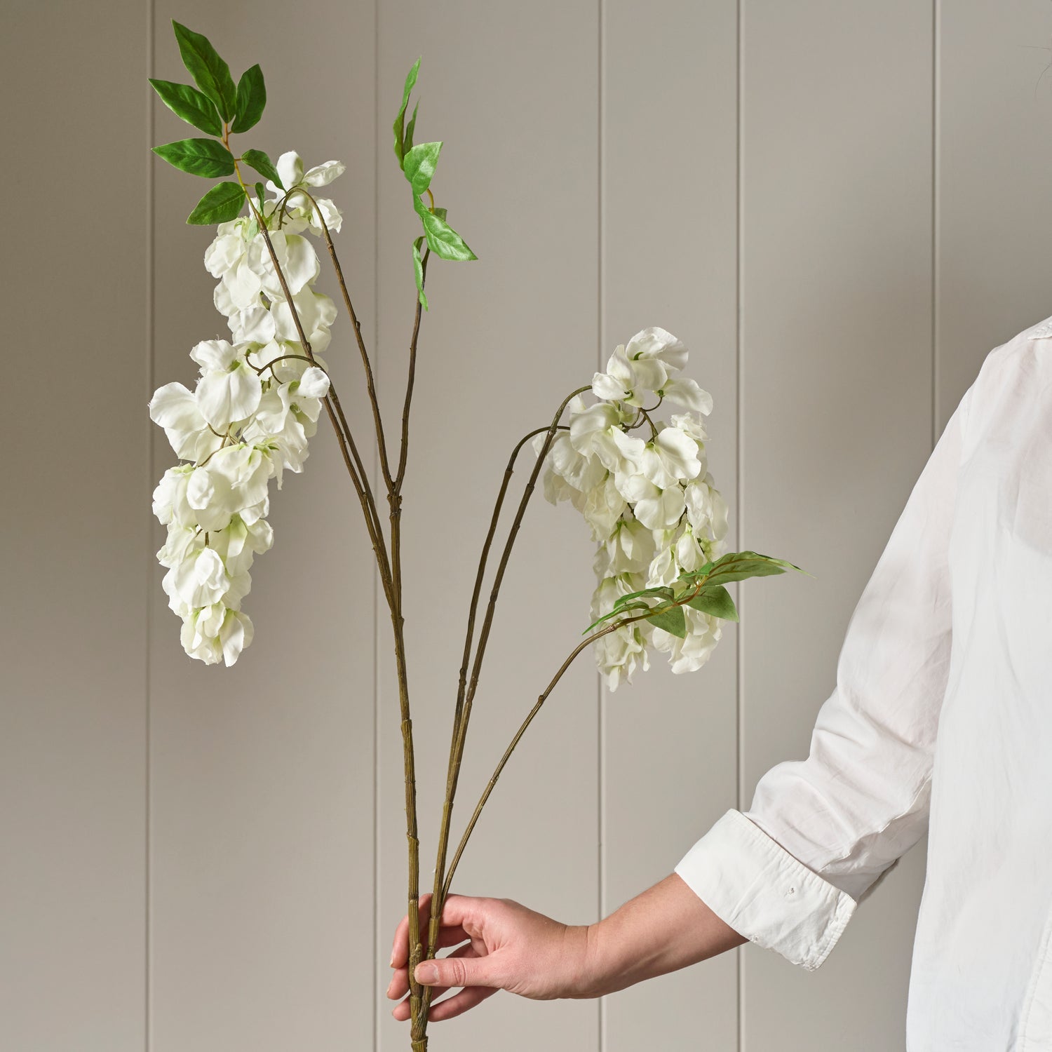 Neptune Flowers & Plants Wisteria Spray, White