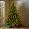 Windsor 7ft Pre-lit Christmas Tree