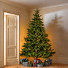 Windsor 8ft Pre-lit Christmas Tree