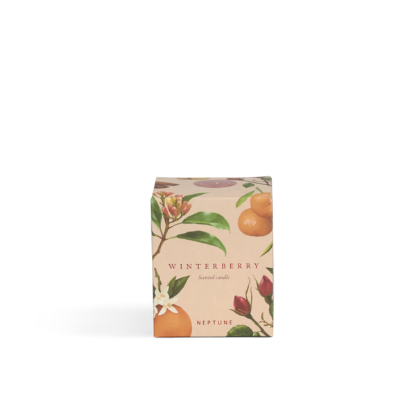 A rectangular box of Neptune Winterberry scented candles, featuring botanical illustrations of winterberry fruits and leaves on a light beige background.
