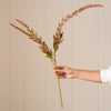A hand holding a long-stemmed artificial ornamental grass or flax stem with pinkish-brown seed heads and small green leaves, set against a beige paneled wall.