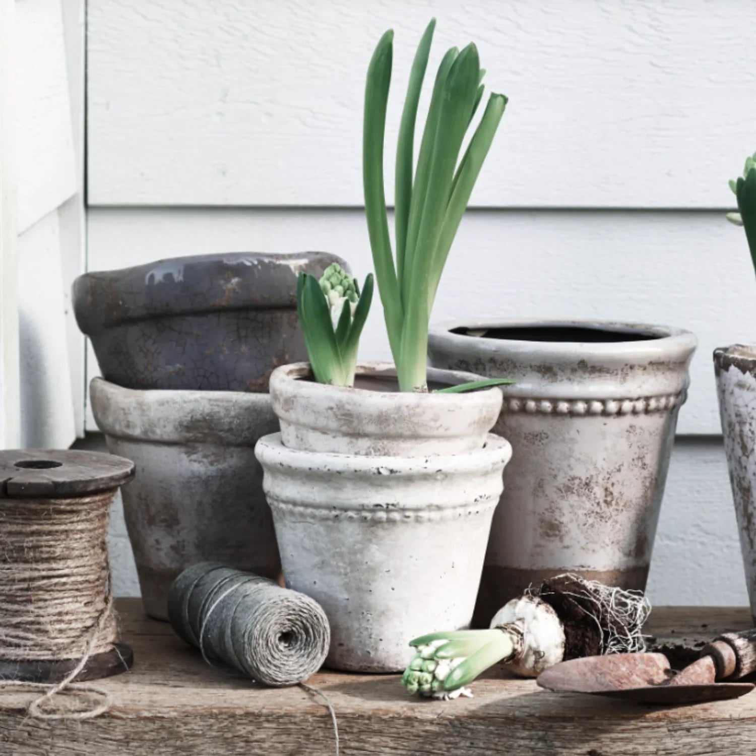 Neptune Seasonal_Garden_Garden accessories default Basil Terracotta Pot, Small