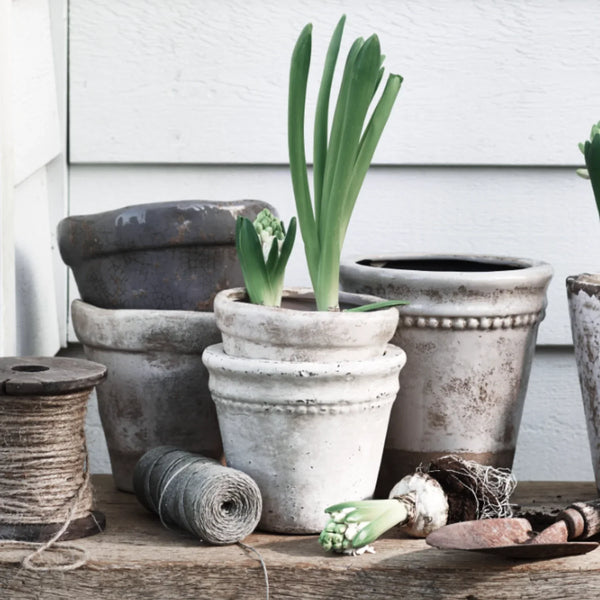 Neptune Seasonal_Garden_Garden accessories default Basil Terracotta Pot, Small