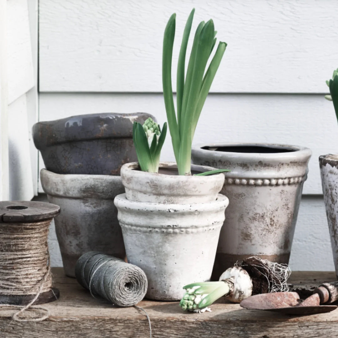 neptune plant pots Basil Terracotta Pot, Small – Neptune