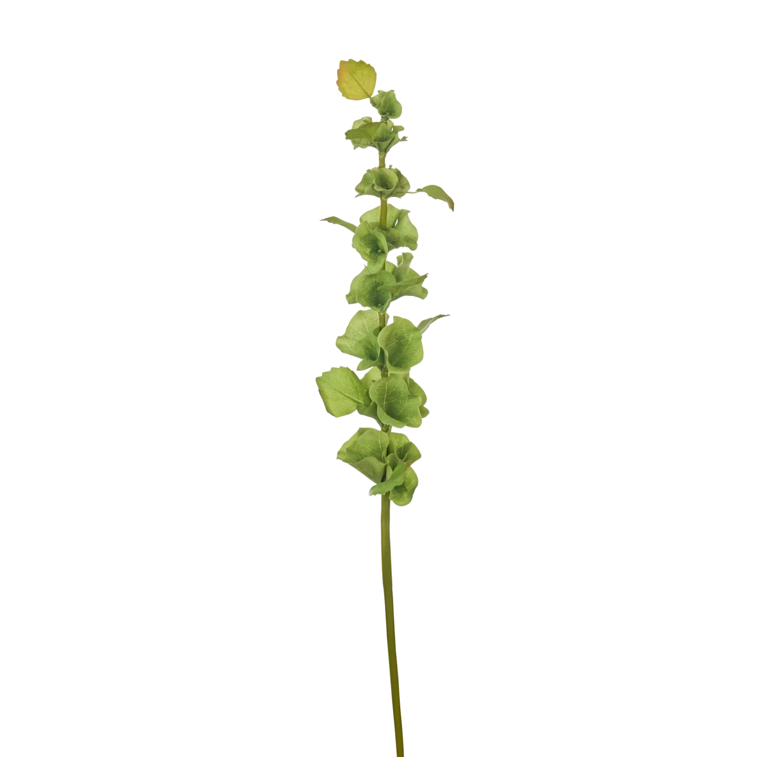 Neptune Accessories_Living accessories_Faux flowers & plants default Bells Stem, Green