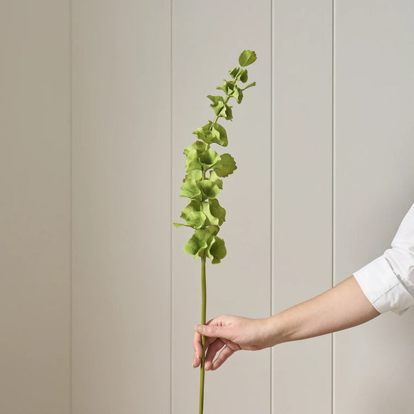 Neptune Accessories_Living accessories_Faux flowers & plants default Bells Stem, Green