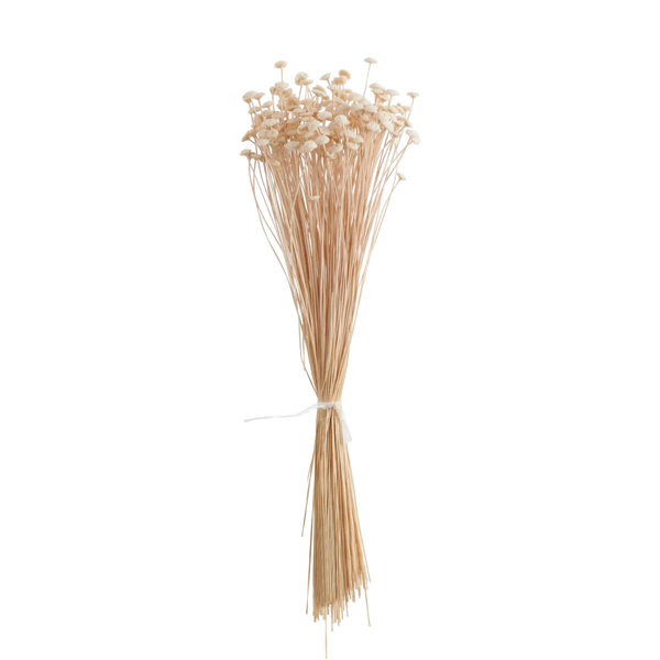Neptune Accessories_Living accessories_Faux flowers & plants default Dried Amarelinho Bunch, White