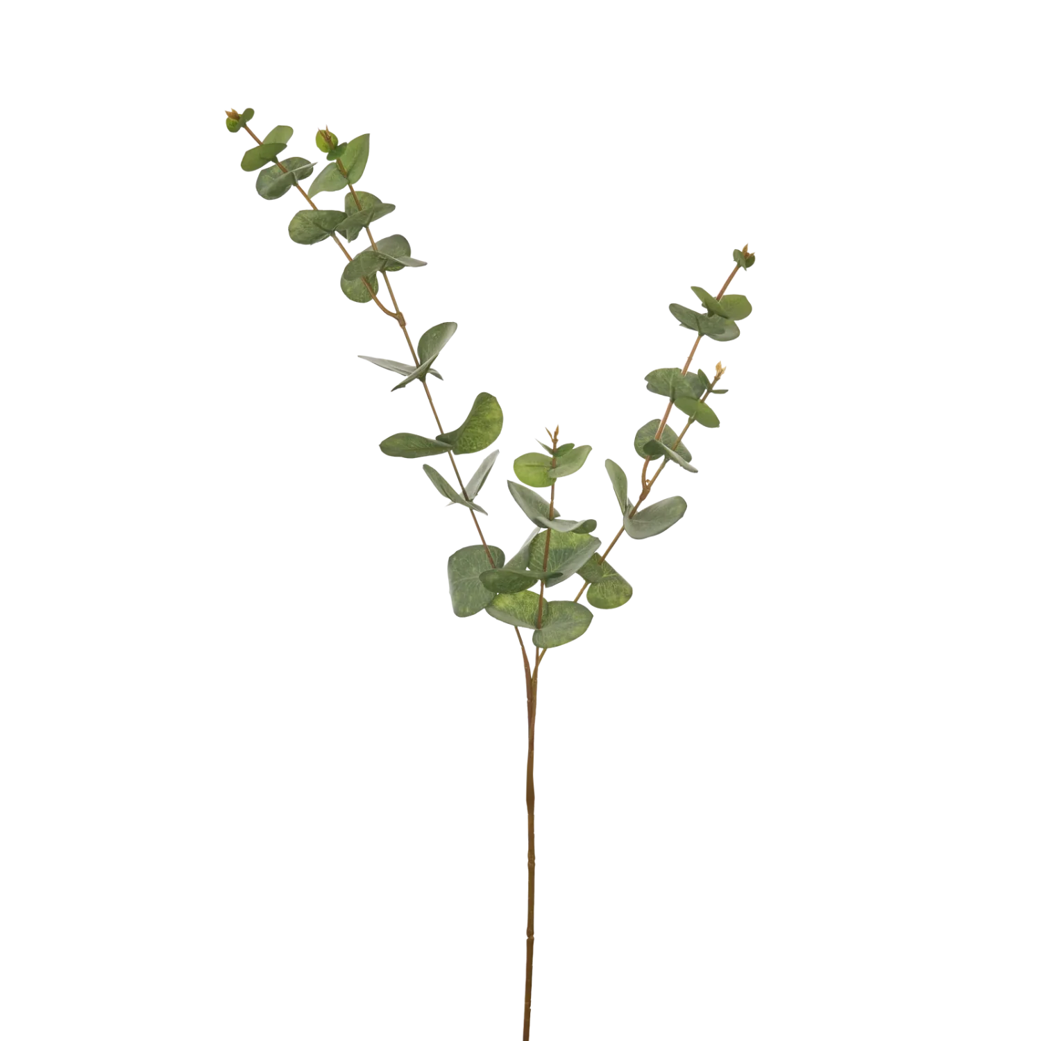 Neptune Accessories_Living accessories_Faux flowers & plants default Eucalyptus Spray, Green