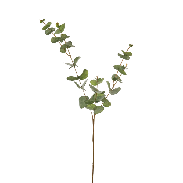 Neptune Accessories_Living accessories_Faux flowers & plants default Eucalyptus Spray, Green