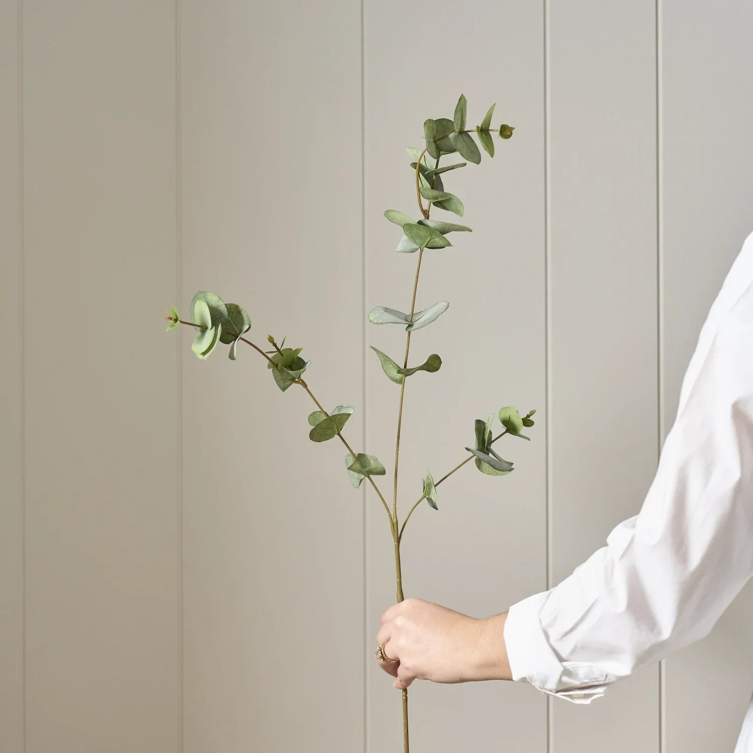 Neptune Accessories_Living accessories_Faux flowers & plants default Eucalyptus Spray, Green