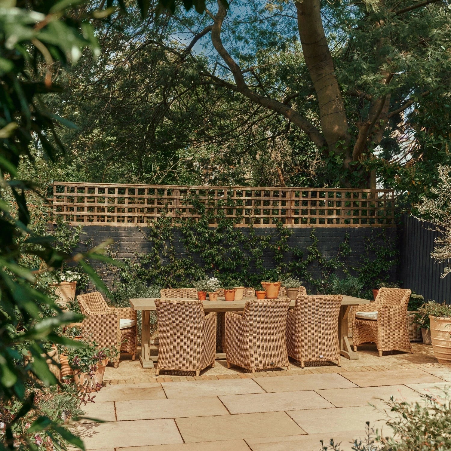 Neptune Seasonal_Garden_Outdoor dining and carver chairs default Harmondsworth 8 Seater Teak Garden Dining Table Set with Stanway Honey Carver Chairs