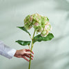 Neptune Accessories_Living accessories_Faux flowers & plants default Hydrangea Stem, Soft Pink