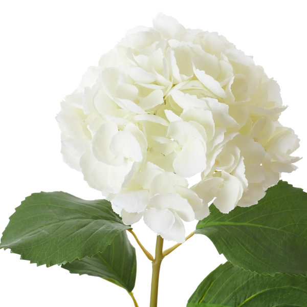 Neptune Accessories_Living accessories_Faux flowers & plants default Hydrangea Stem, White