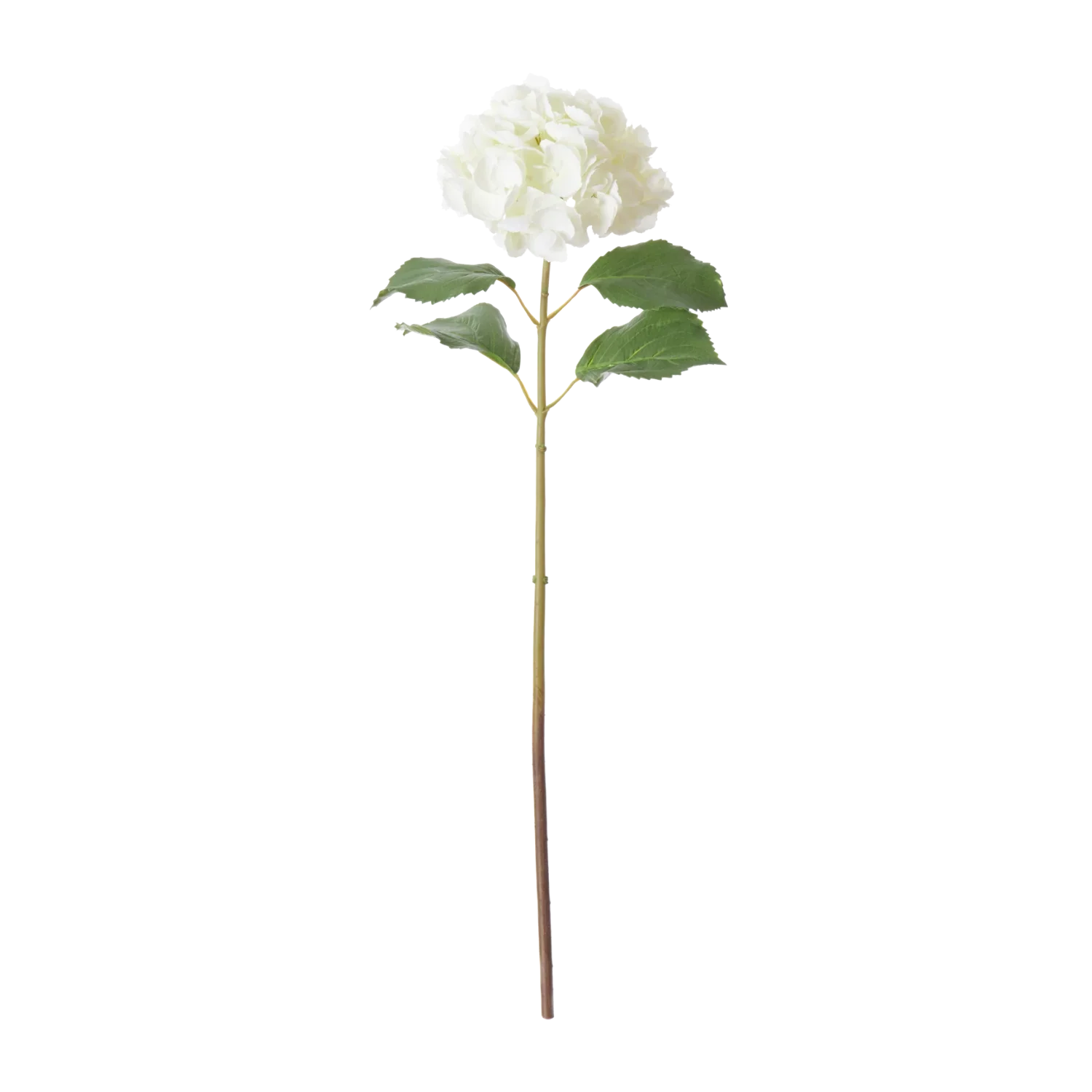Neptune Accessories_Living accessories_Faux flowers & plants default Hydrangea Stem, White