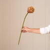 Artichoke Stem, Light Orange