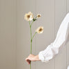 Neptune Accessories_Living accessories_Faux flowers & plants default Lisianthus Spray, Soft Pink