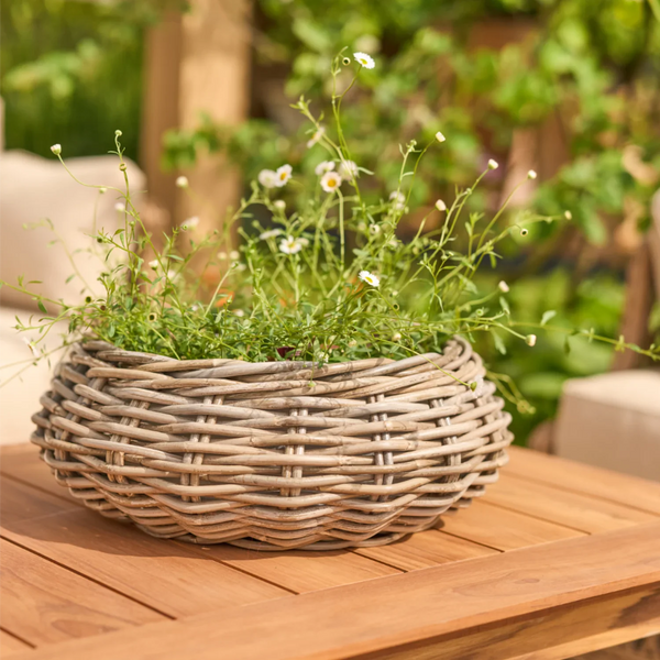 Neptune Seasonal_Garden_Garden accessories Default Littleton Wicker Round Basket