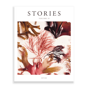 Stories Volume 19