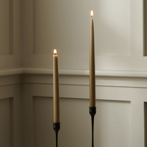 Nightingale Tapered Candles, Set of 4
