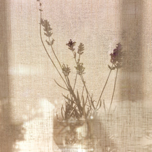 Neptune Candles The Lavender Field Candle