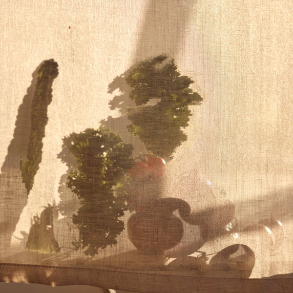 Neptune Candles The Vegetable Patch Candle