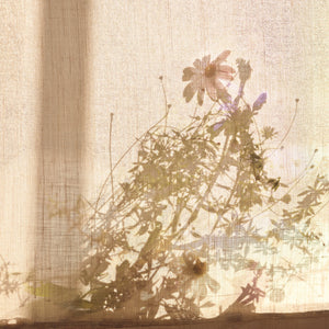 Neptune Candles The Wild Meadow Candle