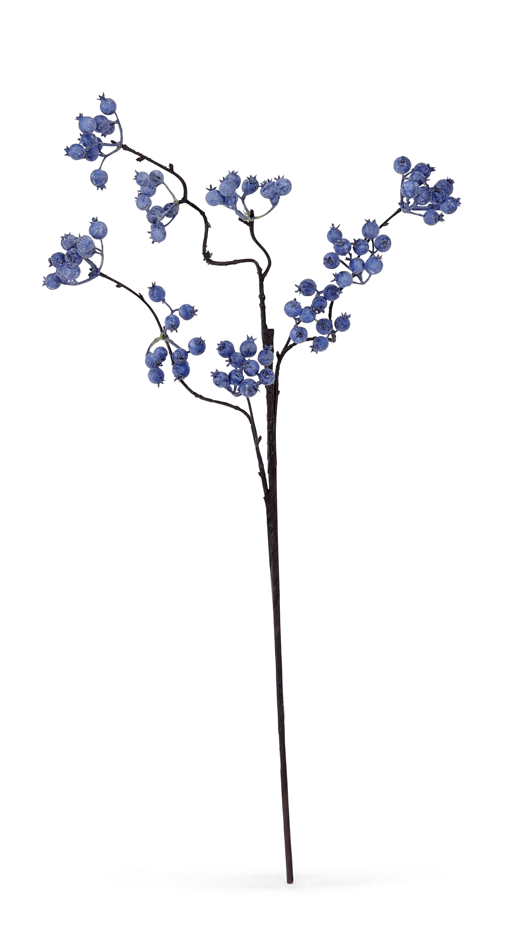 Neptune Flowers & Plants Berry Twig