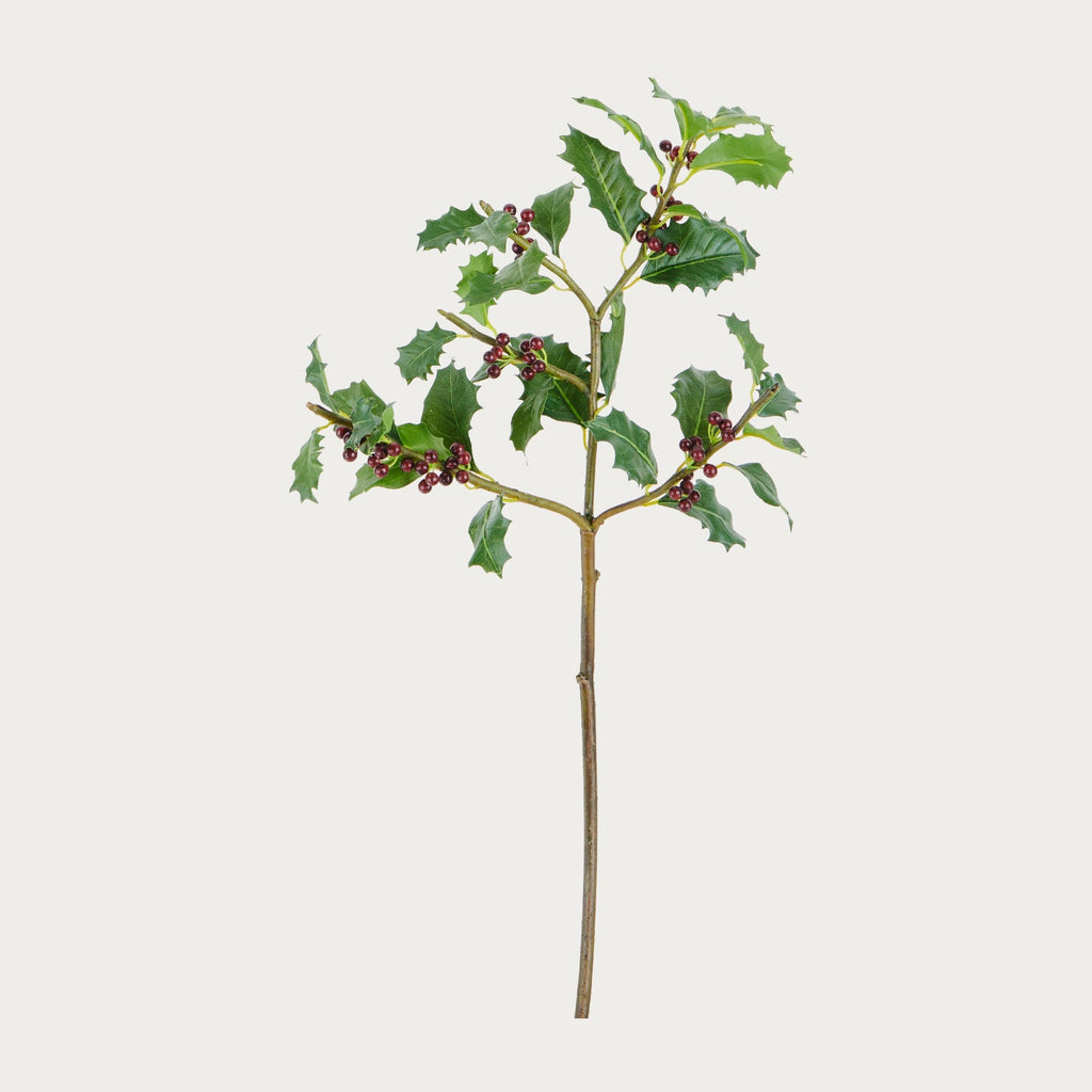 Holly Berry Spray Neptune