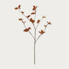 Neptune Flowers & Plants Default Leaf Spray