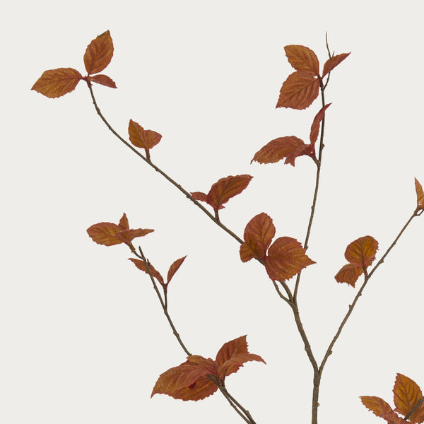 Neptune Flowers & Plants Default Leaf Spray