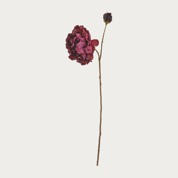 Neptune Flowers & Plants Default Peony Spray