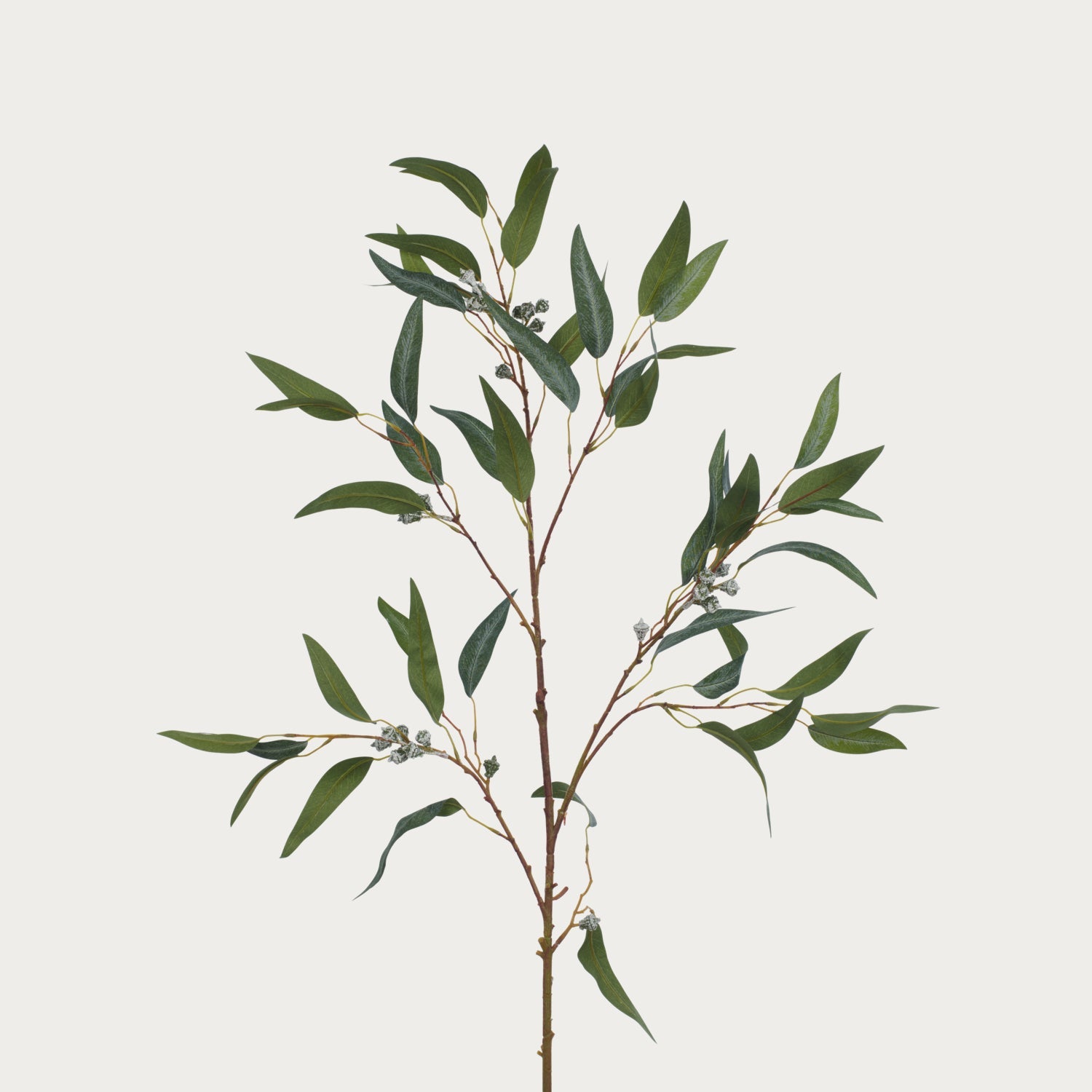 Neptune Flowers & Plants Eucalyptus Berry Spray, Dark Green