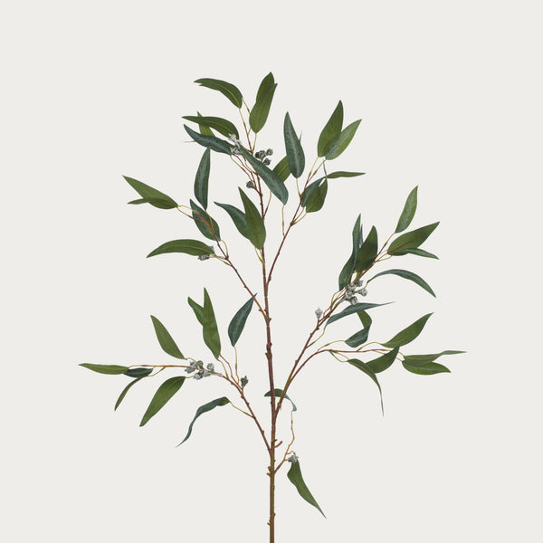 Neptune Flowers & Plants Eucalyptus Berry Spray, Dark Green