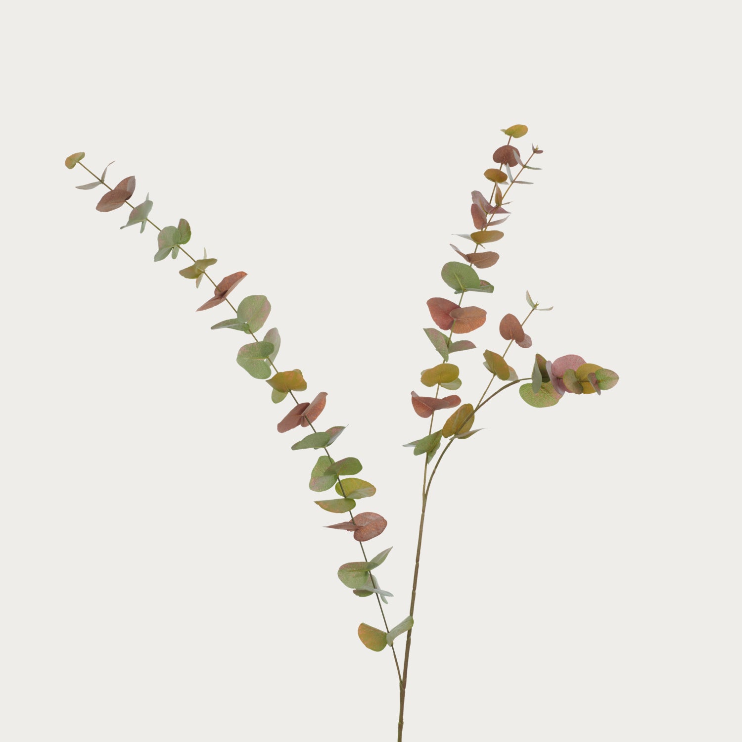 Neptune Flowers & Plants Eucalyptus Spray, Russet