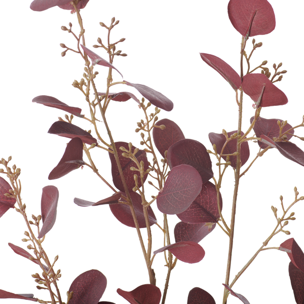Neptune Flowers & Plants Eucalyptus Stem