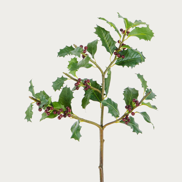 Neptune Flowers & Plants Holly Berry Spray