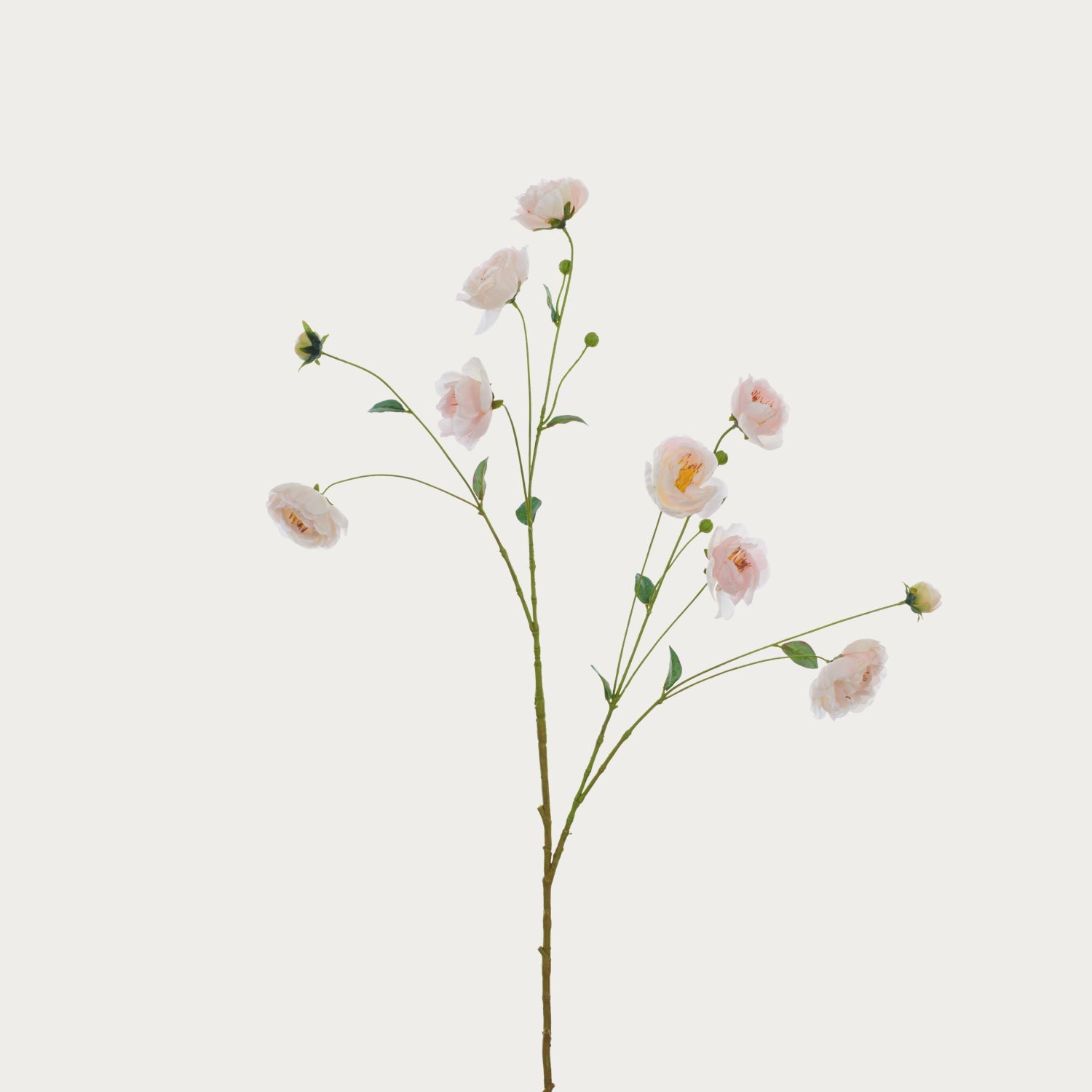 Neptune Flowers & Plants Peony Spray, Pink