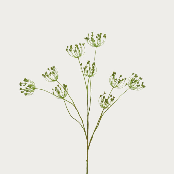 Neptune Flowers & Plants Queen Anne's Lace Stem, Green