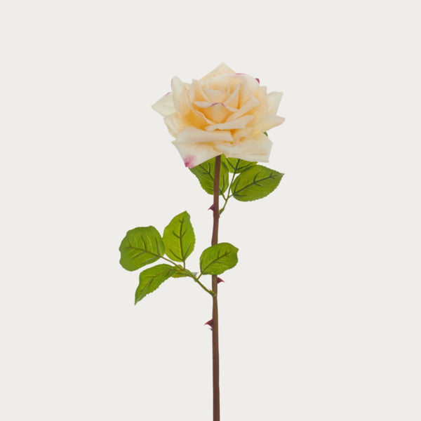 Neptune Flowers & Plants Rose Stem, Yellow