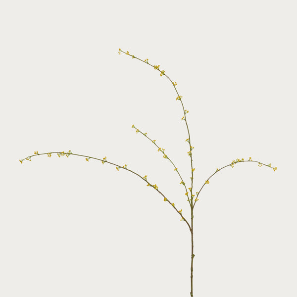 Neptune Flowers & Plants Spirarea Spray, Yellow