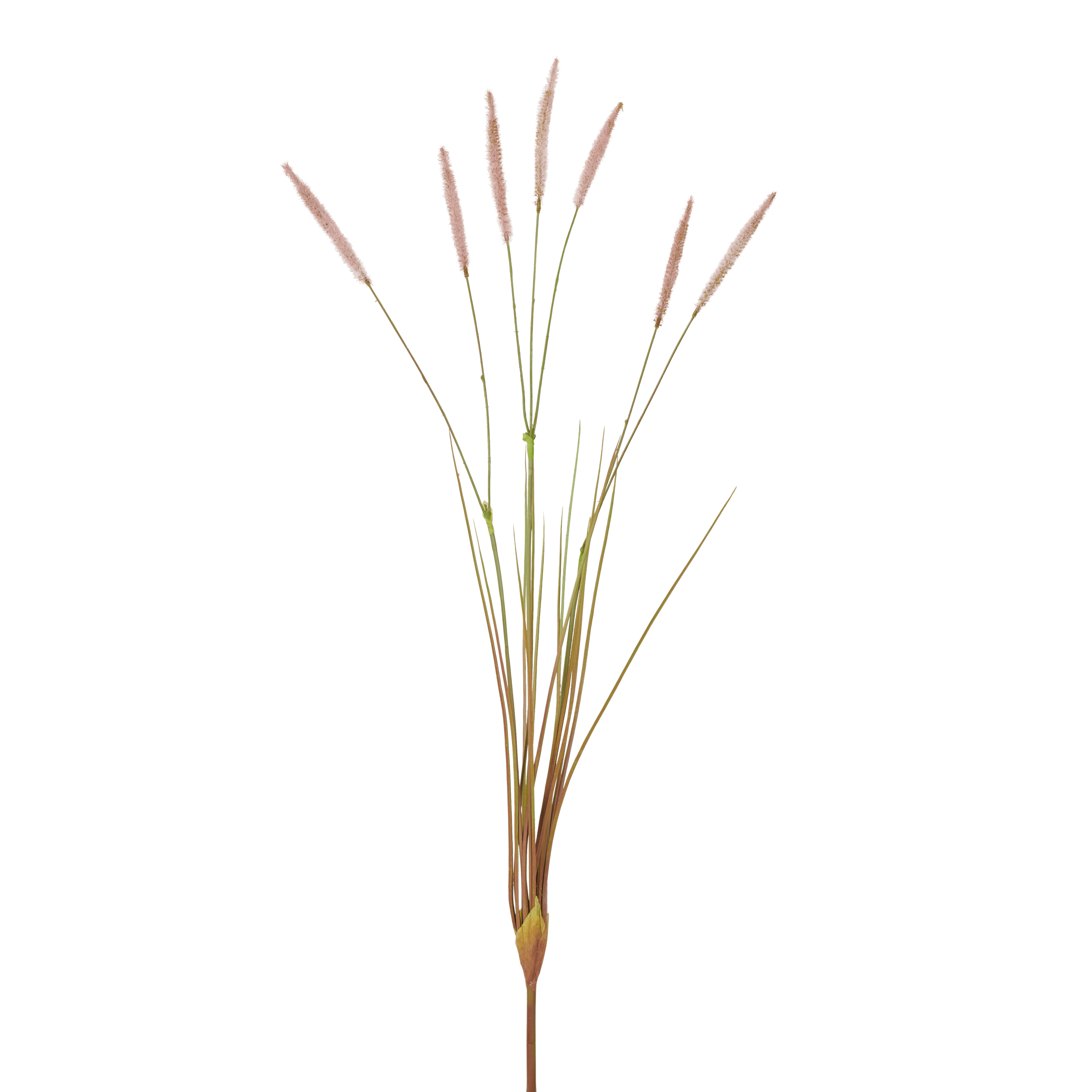 Neptune Flowers & Plants Wild Grass Stem