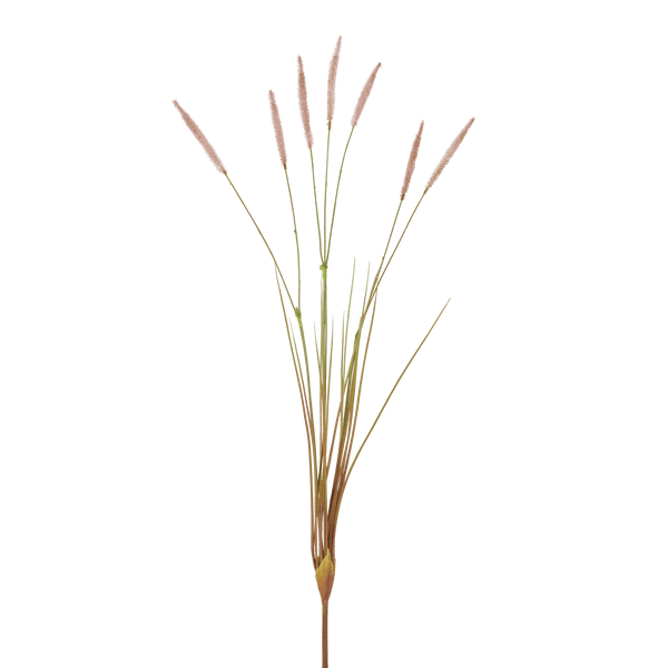 Neptune Flowers & Plants Wild Grass Stem