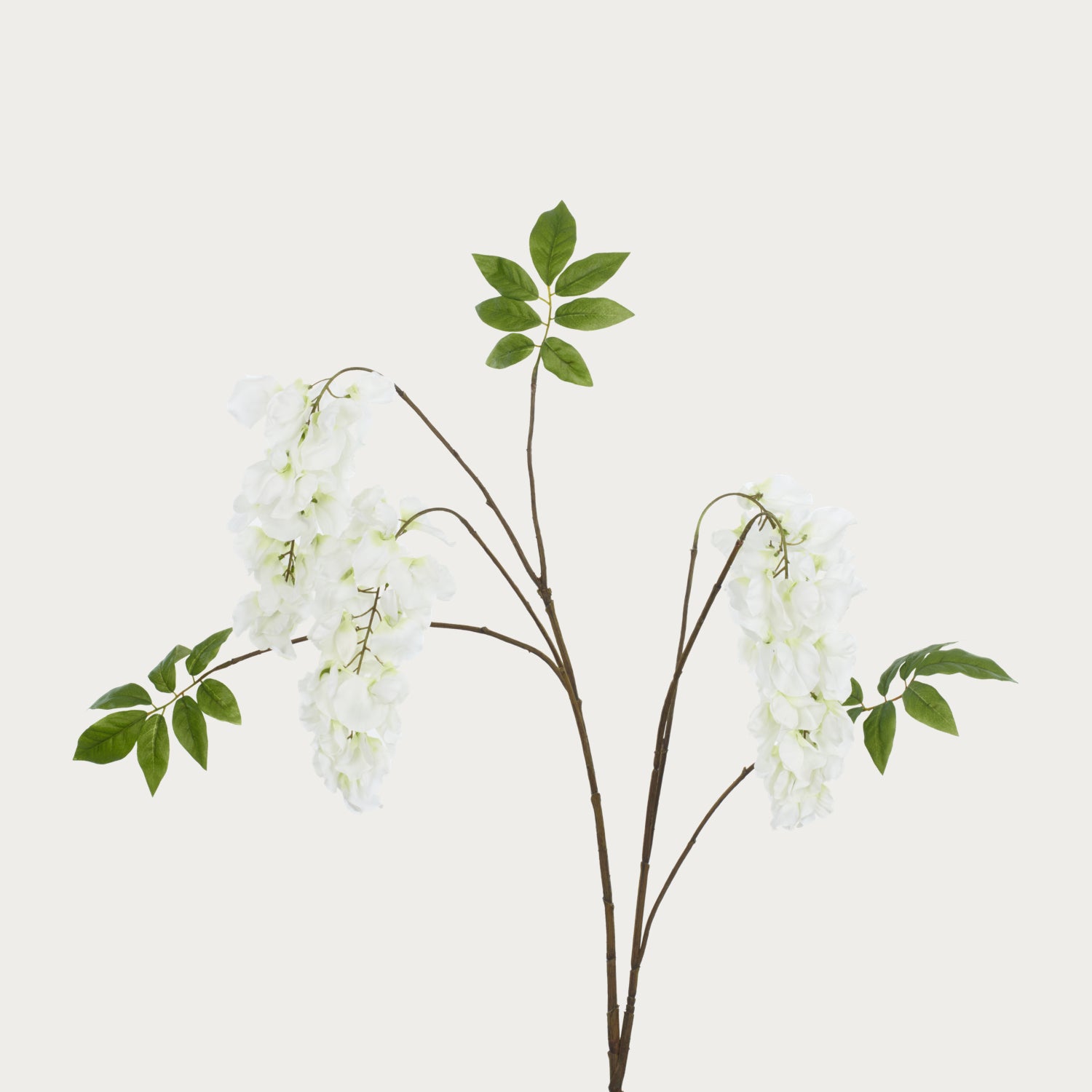 Neptune Flowers & Plants Wisteria Spray, White