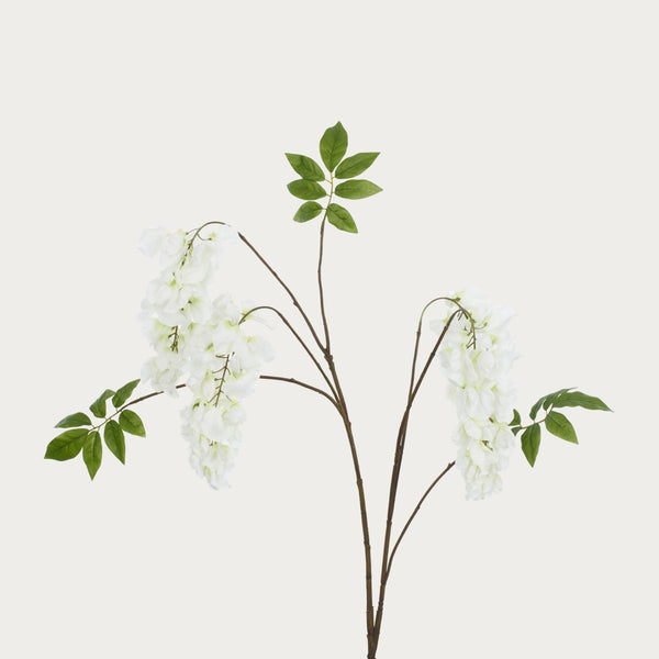 Neptune Flowers & Plants Wisteria Spray, White