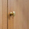 Neptune Handles & Hardware Brass Britten Medium Button Knob, Set of 2